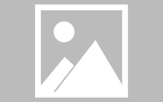 益阳网页优化和设计人才（网站优化职位）